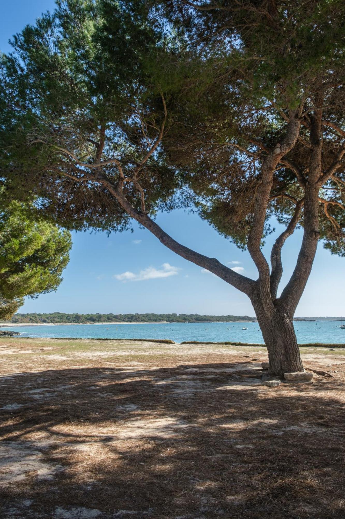 Alma Libre Beach Apartment Colonia de Sant Jordi Esterno foto